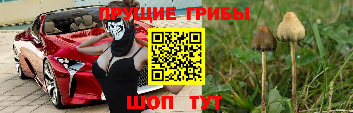 Петропавловск-Камчатский  Галлюциногенные грибы мицелий  Вход с VPN 